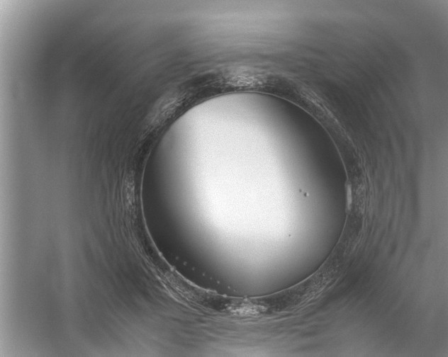 X0000058130407200510072010