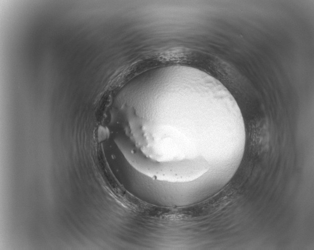 X0000058130408200510072010