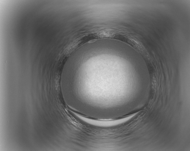 X0000058130409200510072010