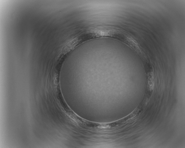 X0000058130410200510072010