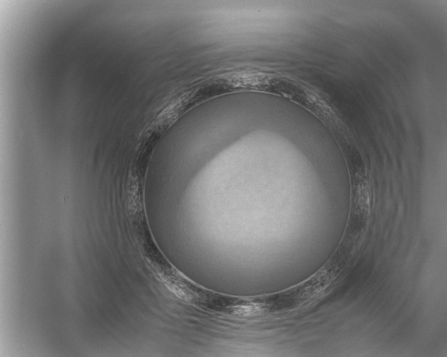 X0000058130411200510072010