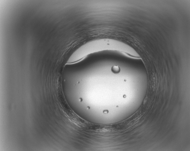 X0000058130412200510072010