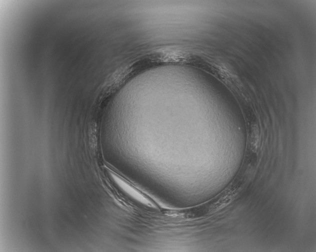 X0000058130413200510072010