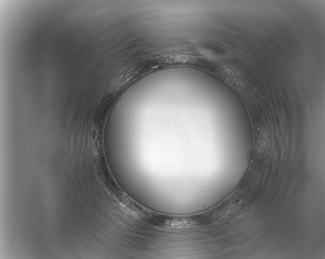 X0000058130414200510072010