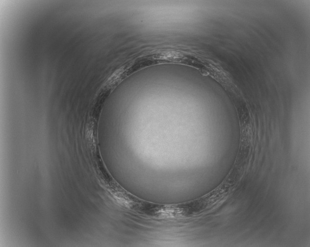 X0000058130415200510072010