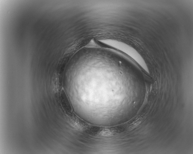 X0000058130416200510072010