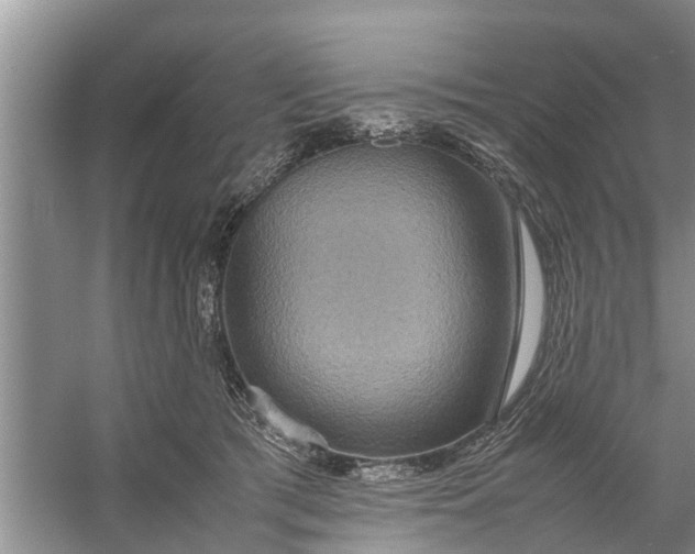 X0000058130417200510072010