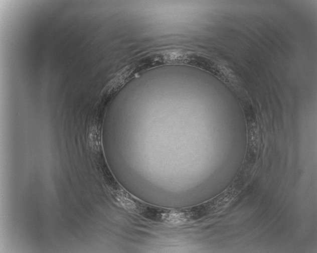 X0000058130419200510072010