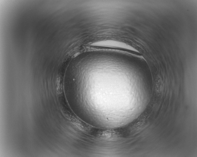 X0000058130420200510072010