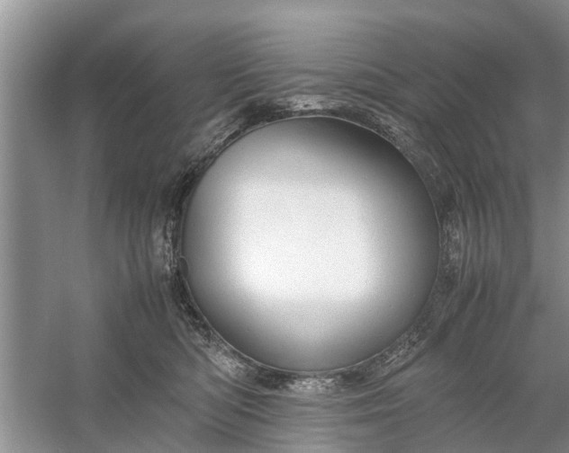 X0000058130422200510072010