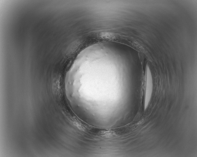 X0000058130424200510072010