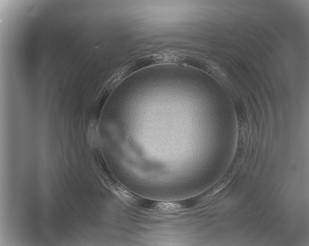 X0000058130429200510072010