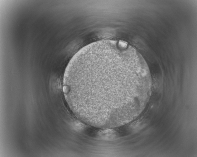 X0000058130431200510072010