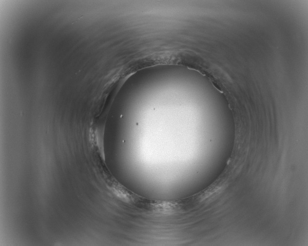 X0000058130432200510072010