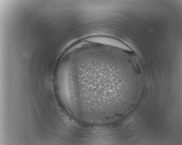 X0000058130434200510072009