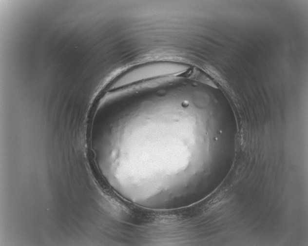 X0000058130438200510072009