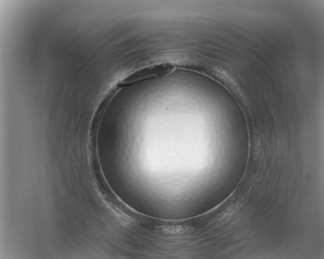 X0000058130439200510072009