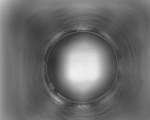 X0000058130445200510072009