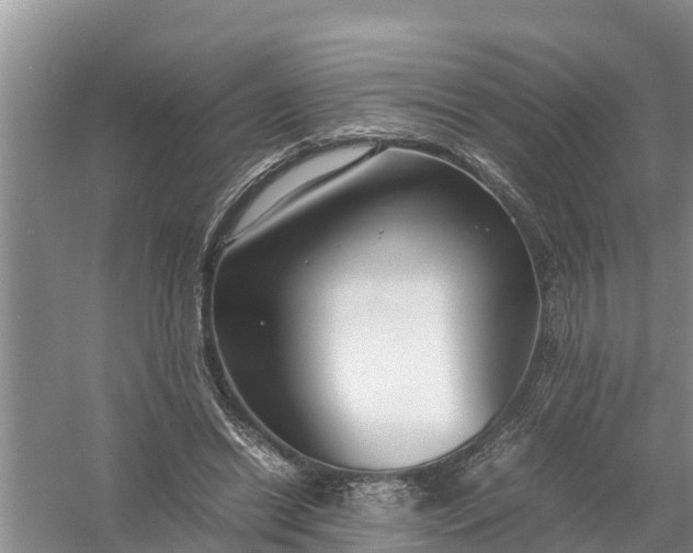 X0000058130446200510072009