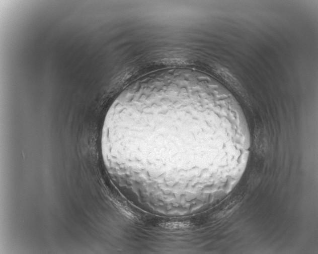 X0000058130449200510072009