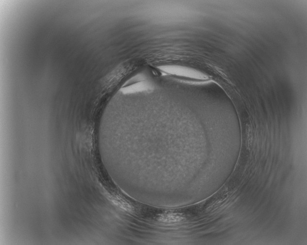 X0000058130451200510072009