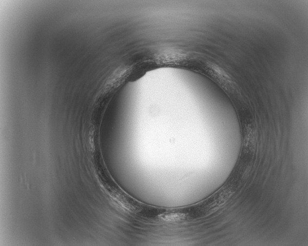 X0000058130452200510072009