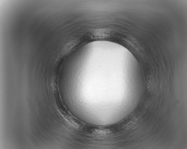 X0000058130455200510072009