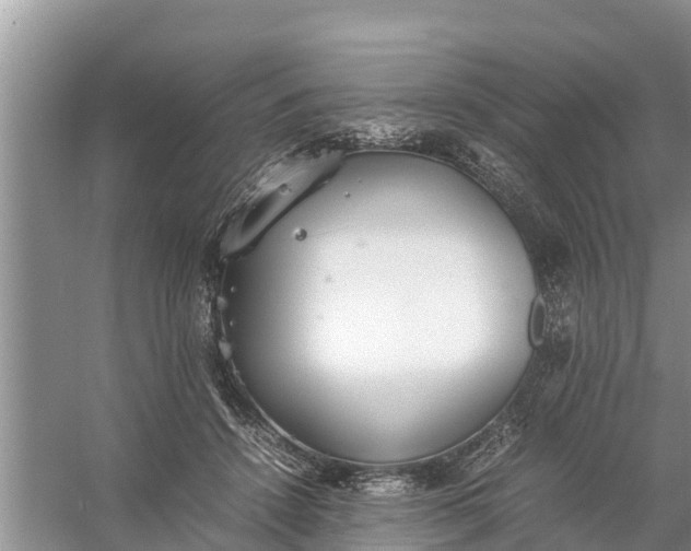 X0000058130456200510072010