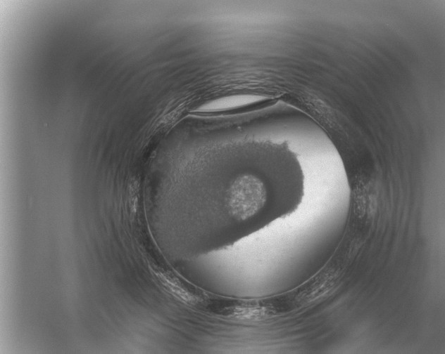 X0000058130458200510072010