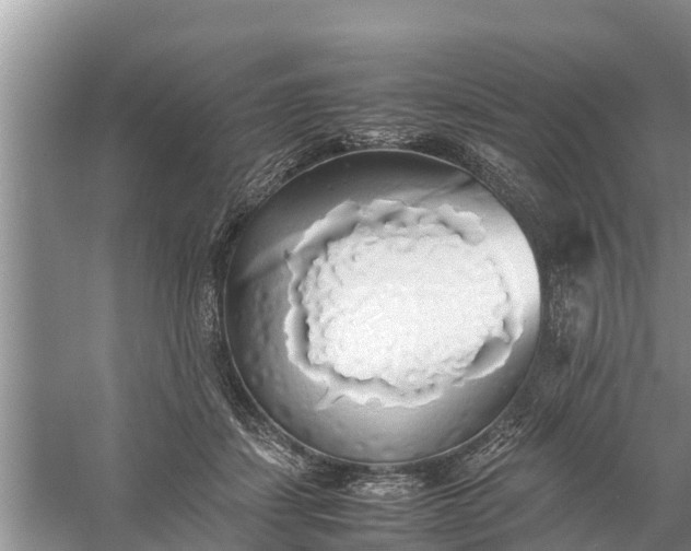 X0000058130459200510072010