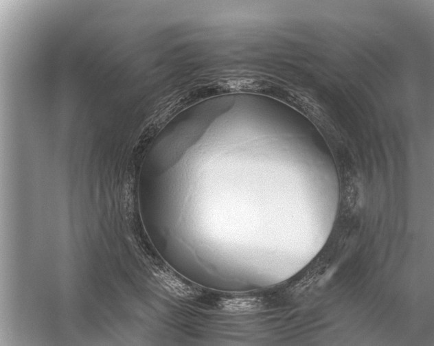 X0000058130461200510072010