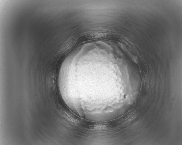 X0000058130462200510072010