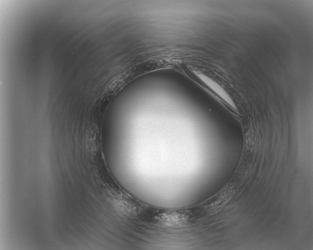 X0000058130464200510072010