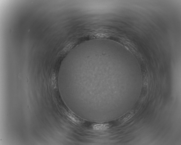 X0000058130465200510072010