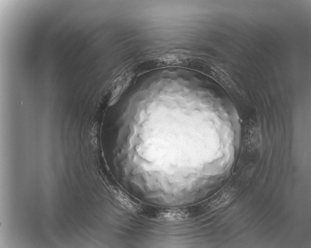 X0000058130466200510072010