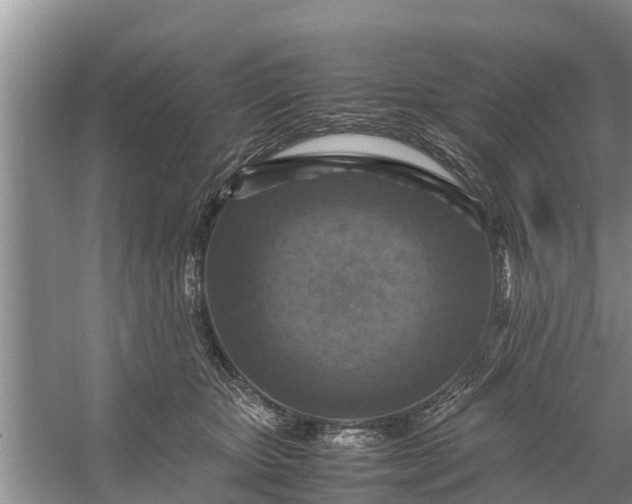 X0000058130467200510072010