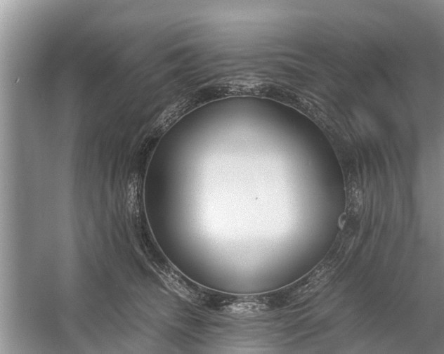 X0000058130468200510072010