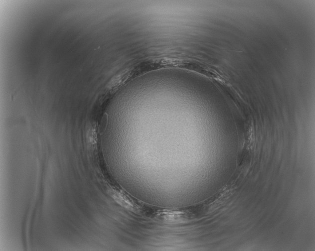 X0000058130472200510072010