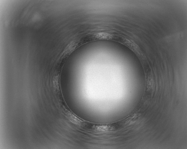 X0000058130473200510072010