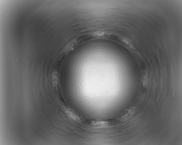 X0000058130476200510072010