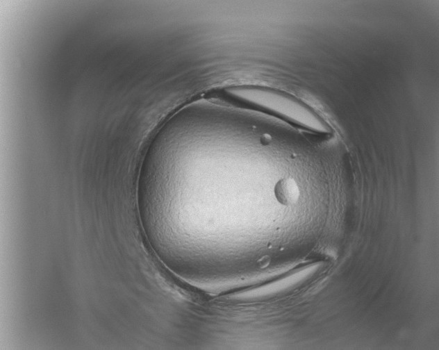 X0000058130481200510072009