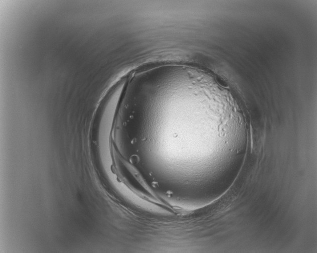 X0000058130483200510072009