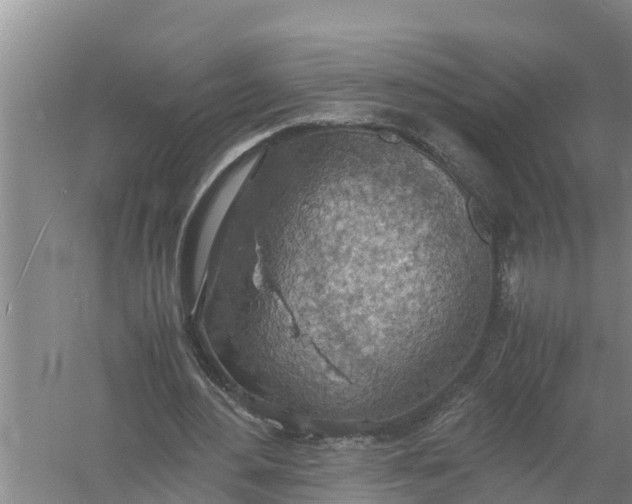 X0000058130484200510072009