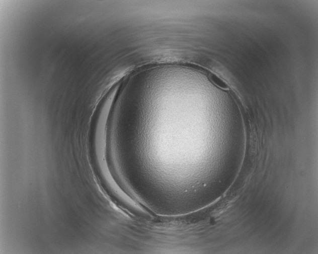 X0000058130485200510072009