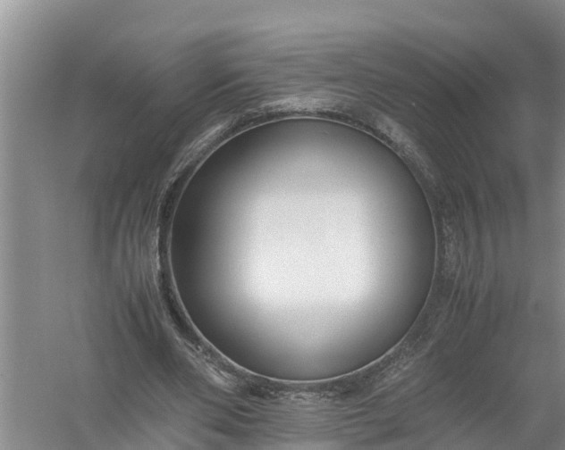 X0000058130486200510072009