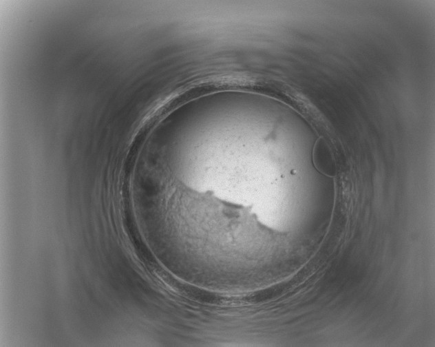 X0000058130487200510072009