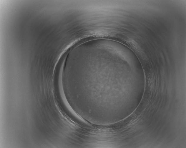 X0000058130488200510072009