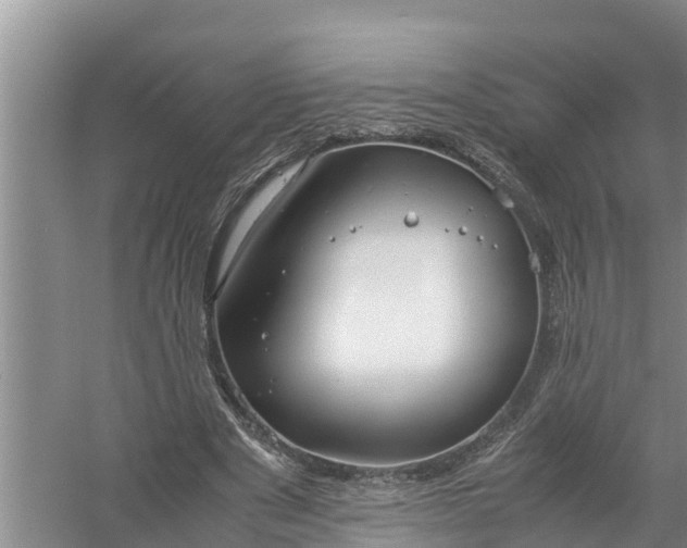 X0000058130489200510072009