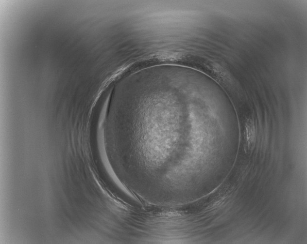 X0000058130492200510072009