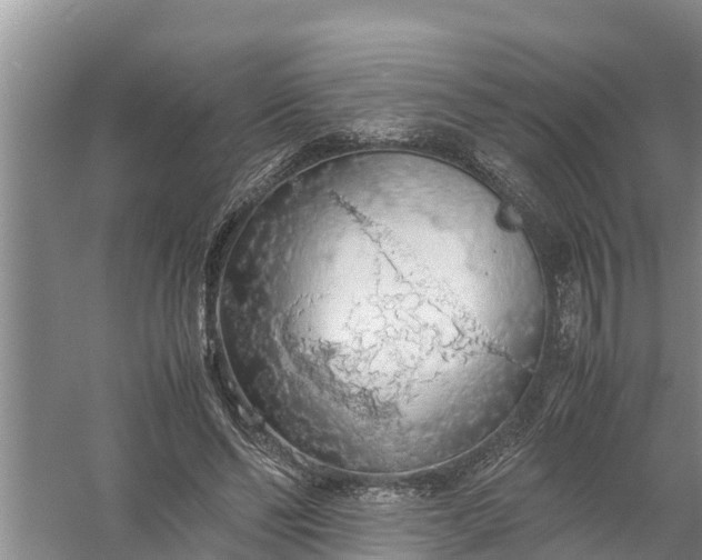 X0000058130494200510072009